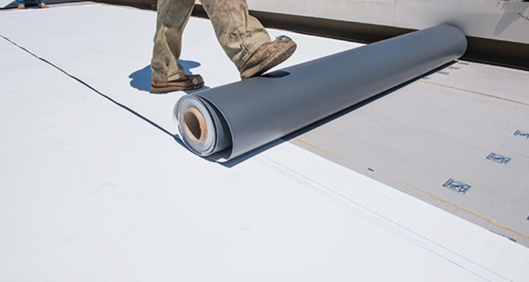 Thermoplastic Polyolefin Roofing Commerce